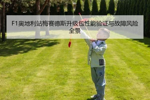 ao-di-li-zhan-mei-sai-de-si-sheng-ji-bao-xing-neng-yan-zheng-yu-gu-zhang-feng-xian-quan-jing-2-639.jpg